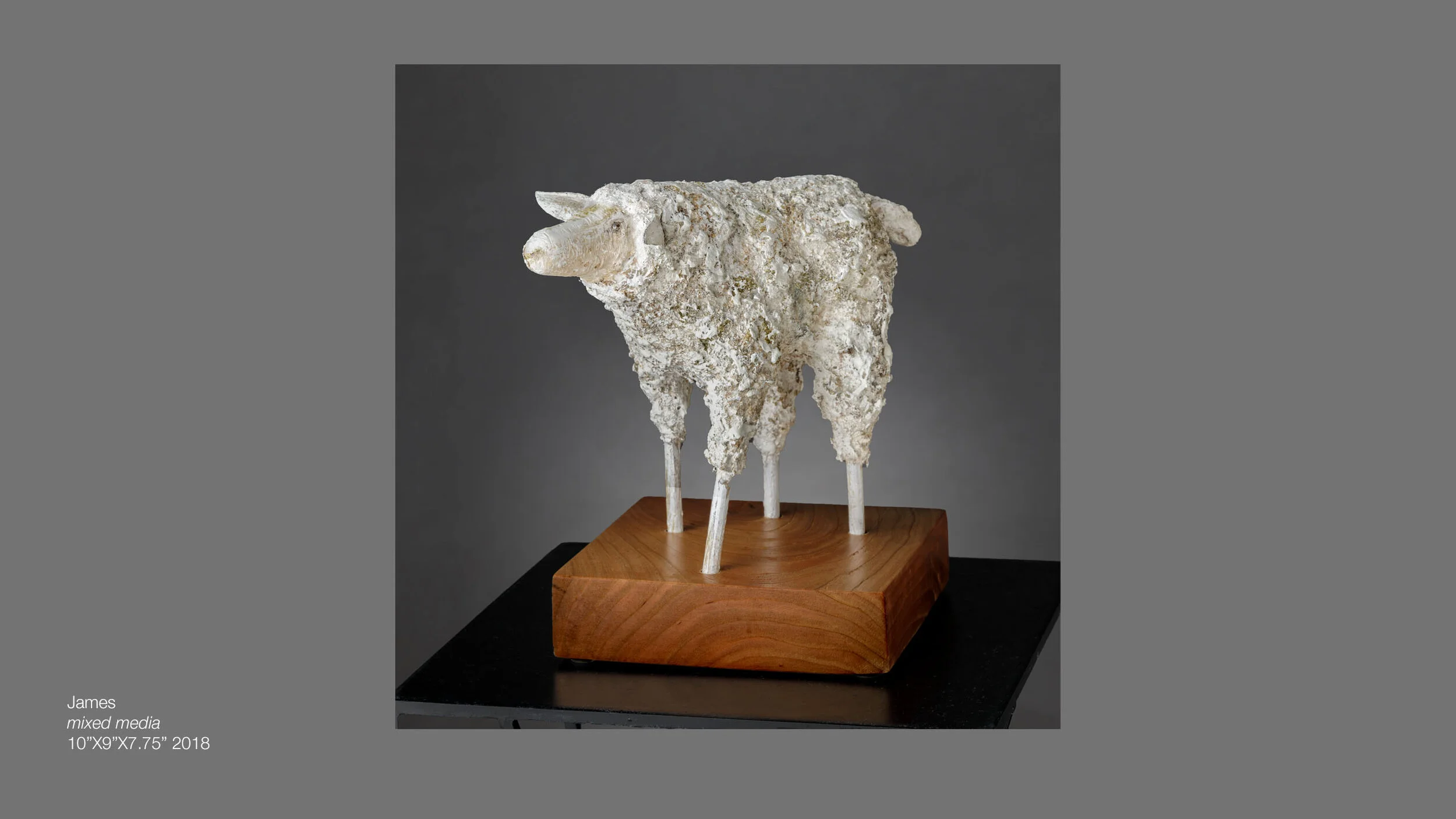 Sheep — Susan MacQueen